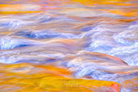 WM_NH_Color_20241008_004-61_edit_VERO